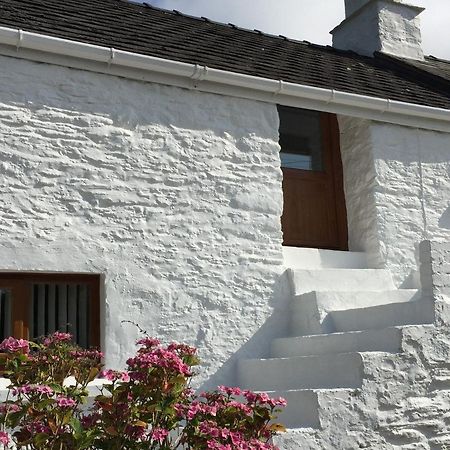 Little Barn Cottage Newport  Exterior photo