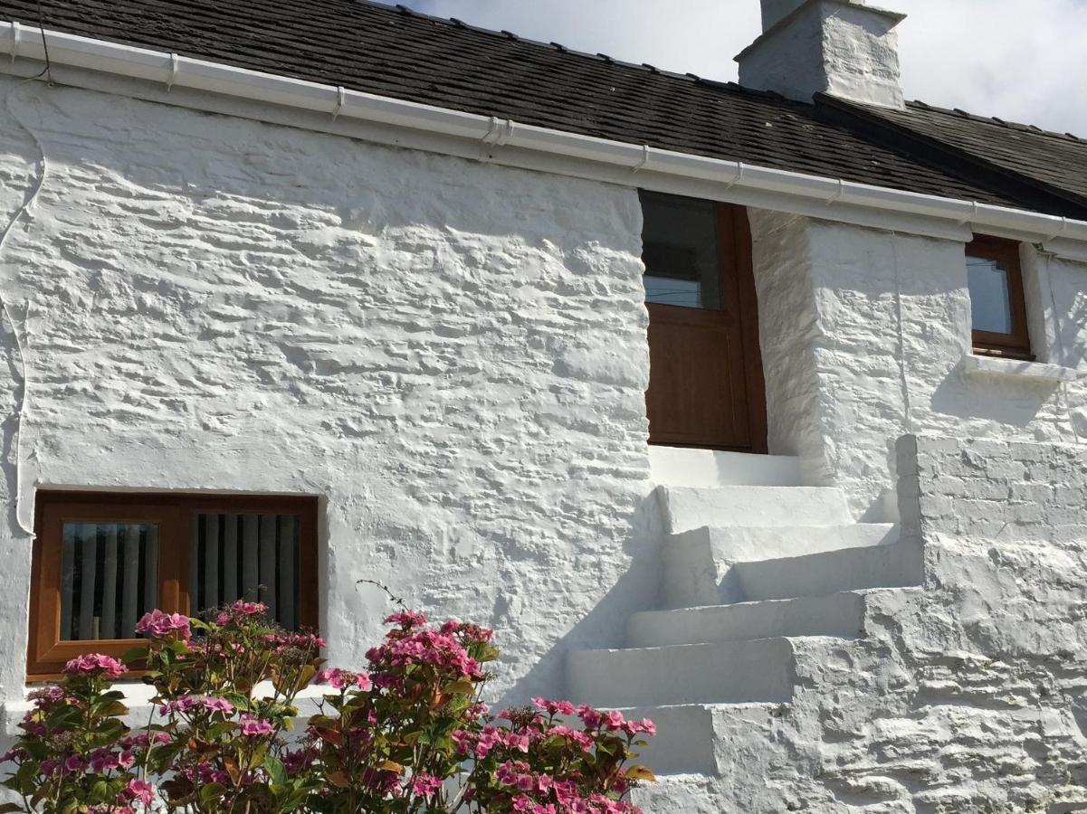 Little Barn Cottage Newport  Exterior photo